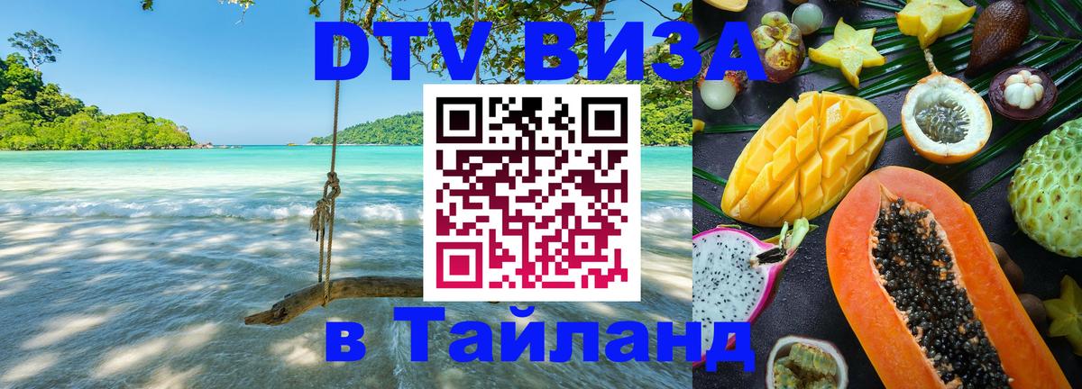 Оформление DTV визы под ключ: стоимость и тарифы, только загранпаспорт - Сараево  20.11.2025 